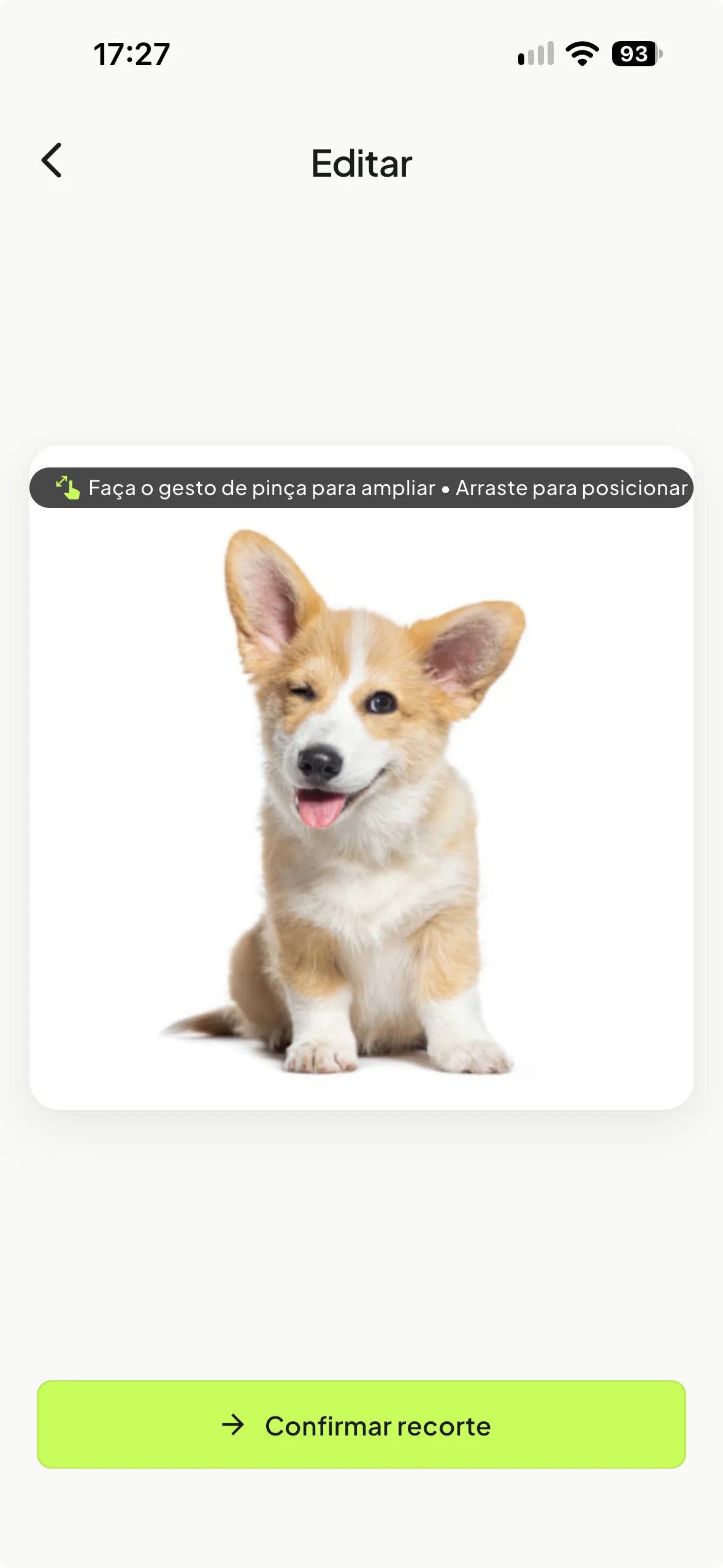 Stikora photo cropping screen in Brazilian Portuguese